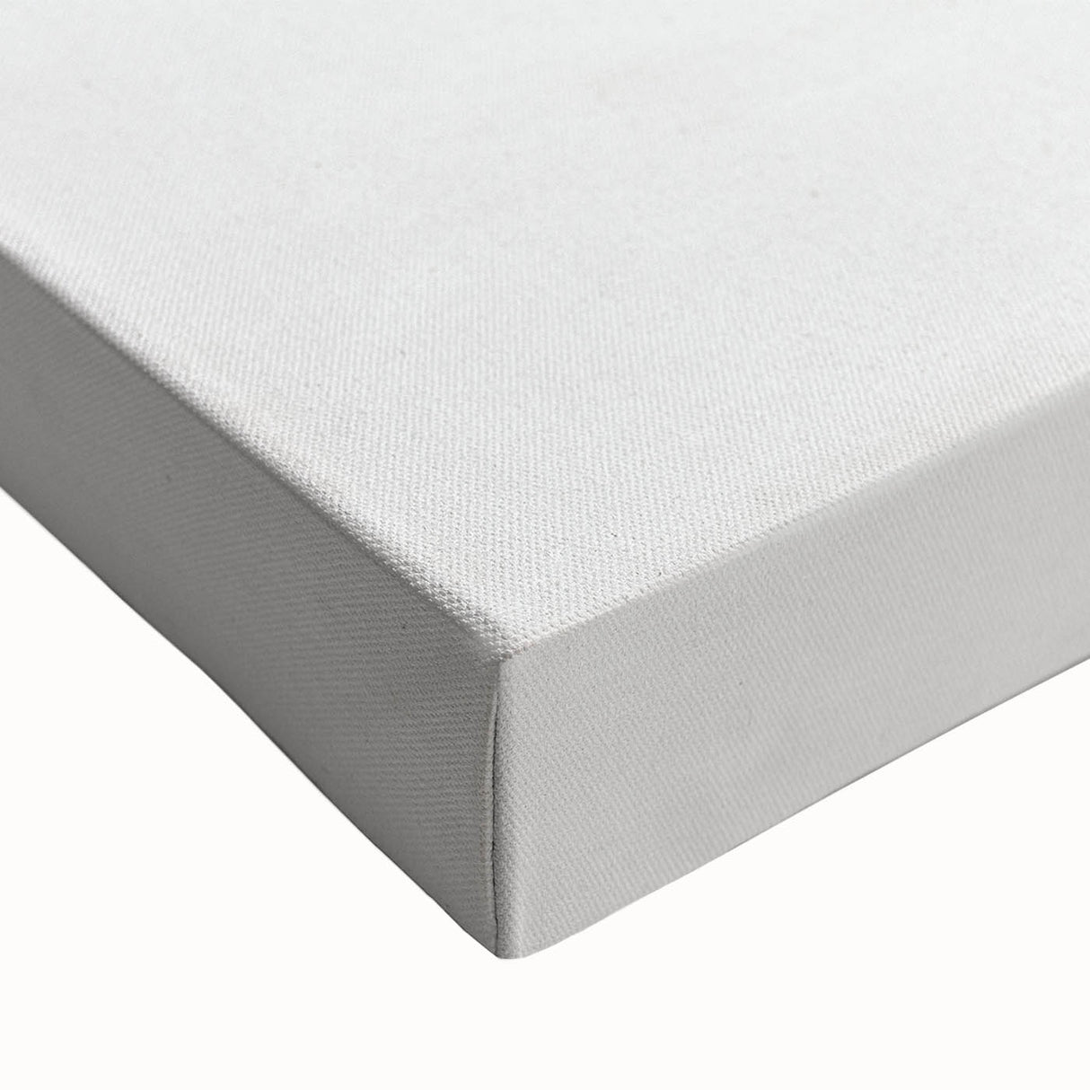 Modern Wall Art – Intricate Vintage Marine Life Illustration