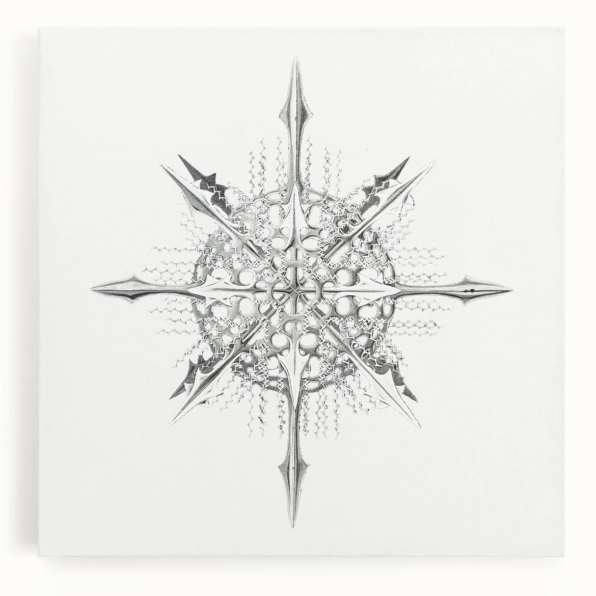 Modern Wall Art – Intricate Vintage Marine Life Illustration