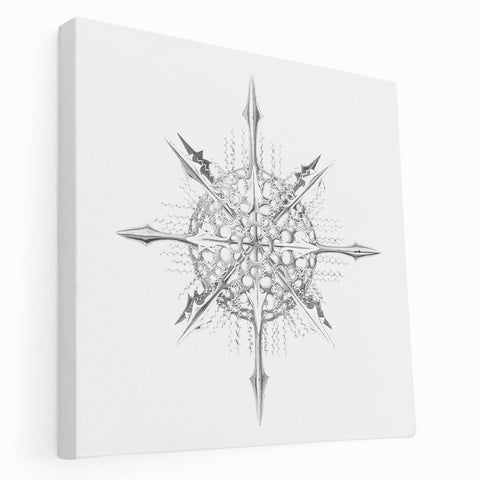 Modern Wall Art – Intricate Vintage Marine Life Illustration