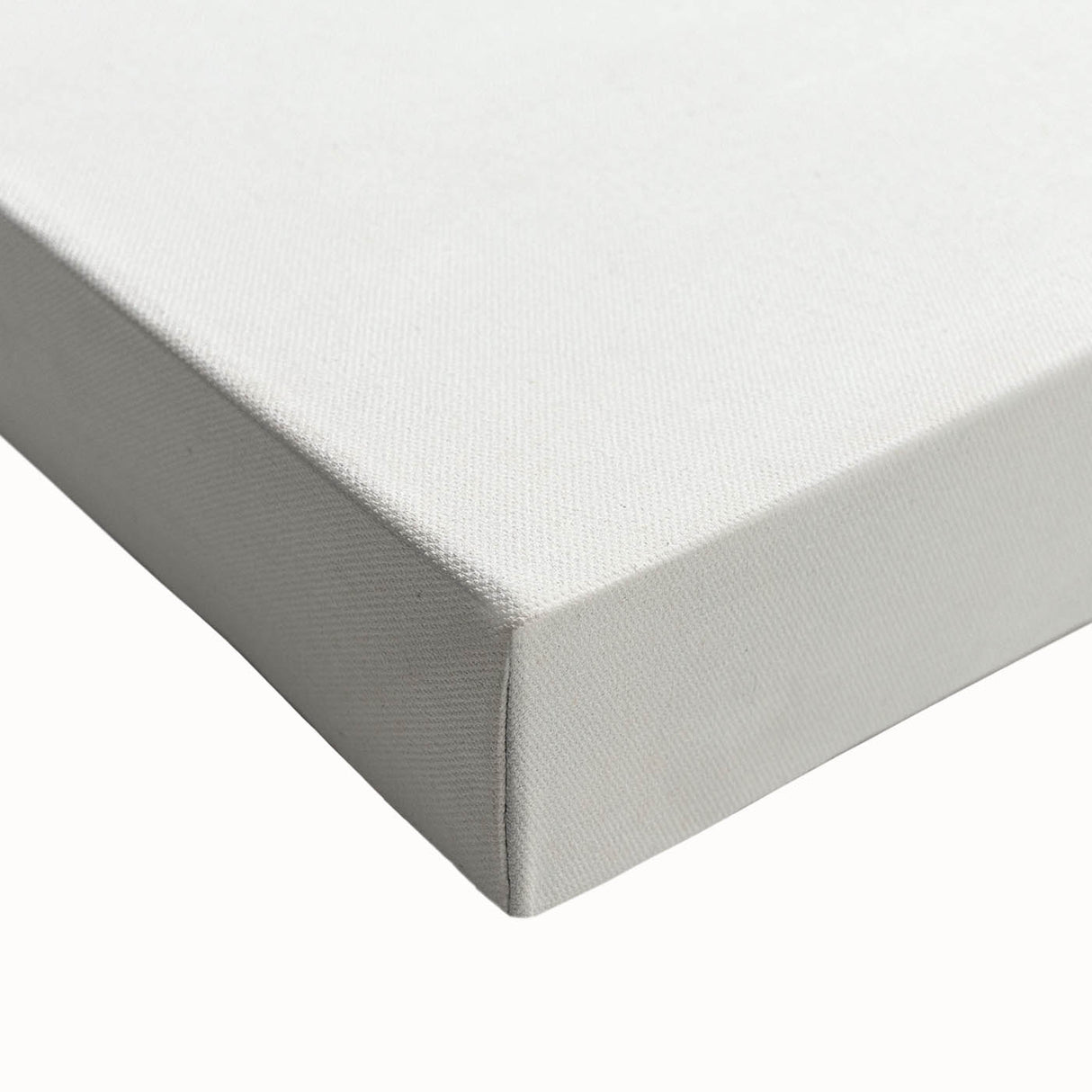 Famous Romantic Era Art - Australian Bird Heads Illustration Canvas Print