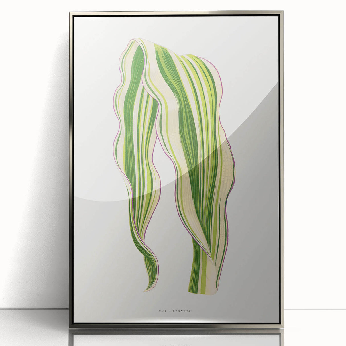 Historical Romanticism Canvas: Green Zea Japonica - Classic Art Prints