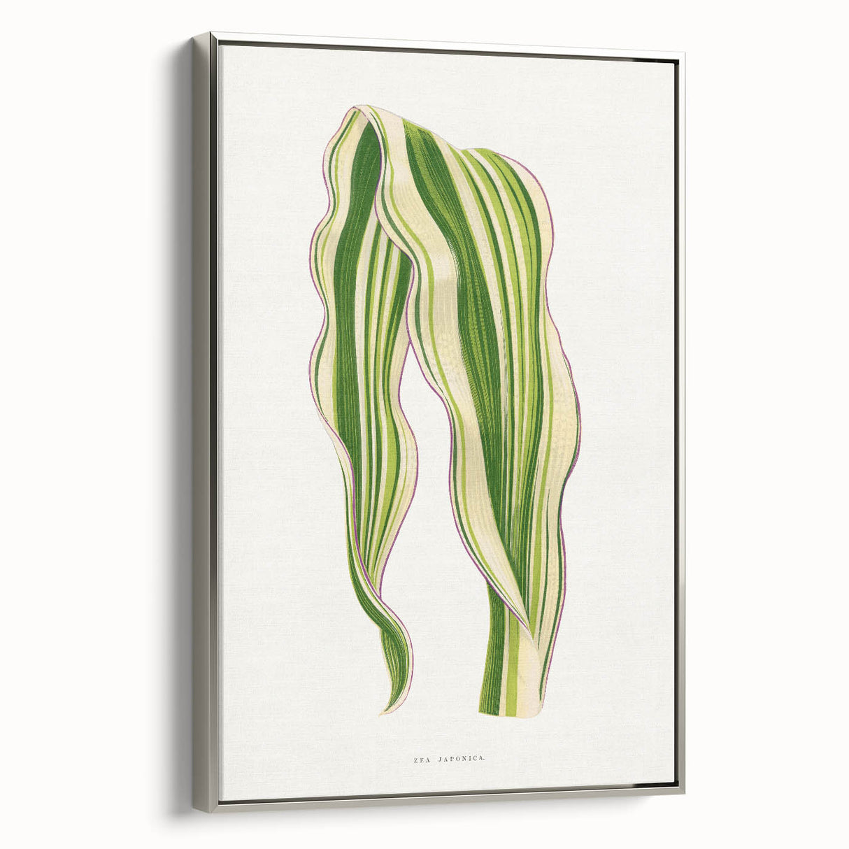 Historical Romanticism Canvas: Green Zea Japonica - Classic Art Prints