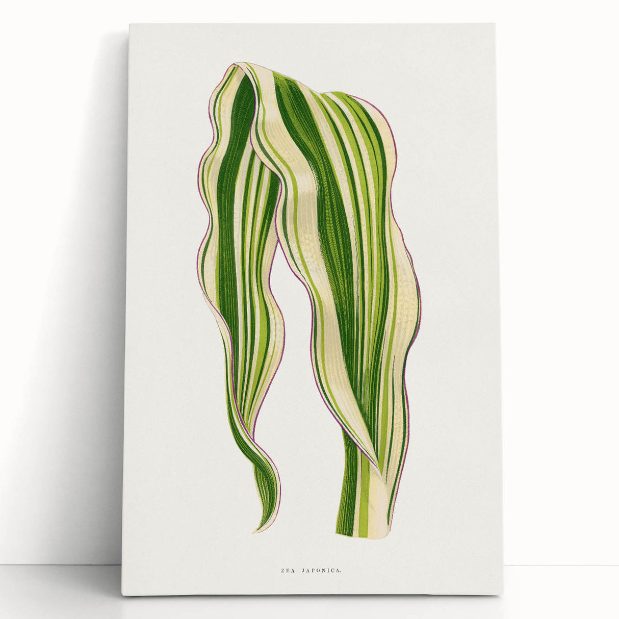 Historical Romanticism Canvas: Green Zea Japonica - Classic Art Prints