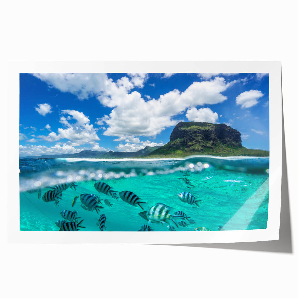 Extra large rolled print of a Mauritian landscape with vibrant greenery and floral elements, ideal for dining room wall art.