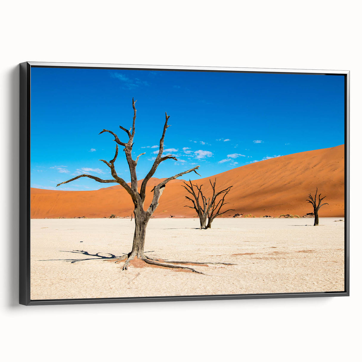 Black and white framed canvas of a Namibian landscape, ideal for bedroom wall art.