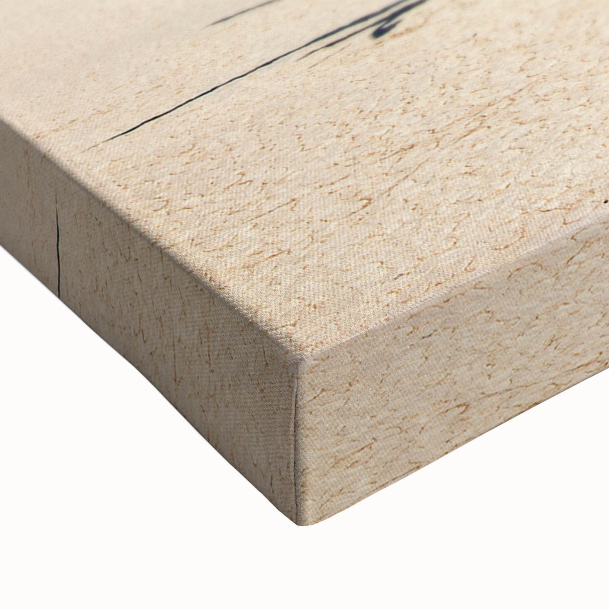 Black and white stretched canvas featuring a Namibian landscape, ideal for bedroom wall art.