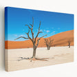 Large canvas print of a Namibian landscape in earth tones, suitable for kitchen wall art.