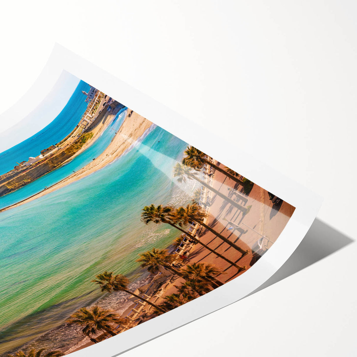 Extra large rolled print of line art flowers in neutral tones, ideal for large living room wall art.