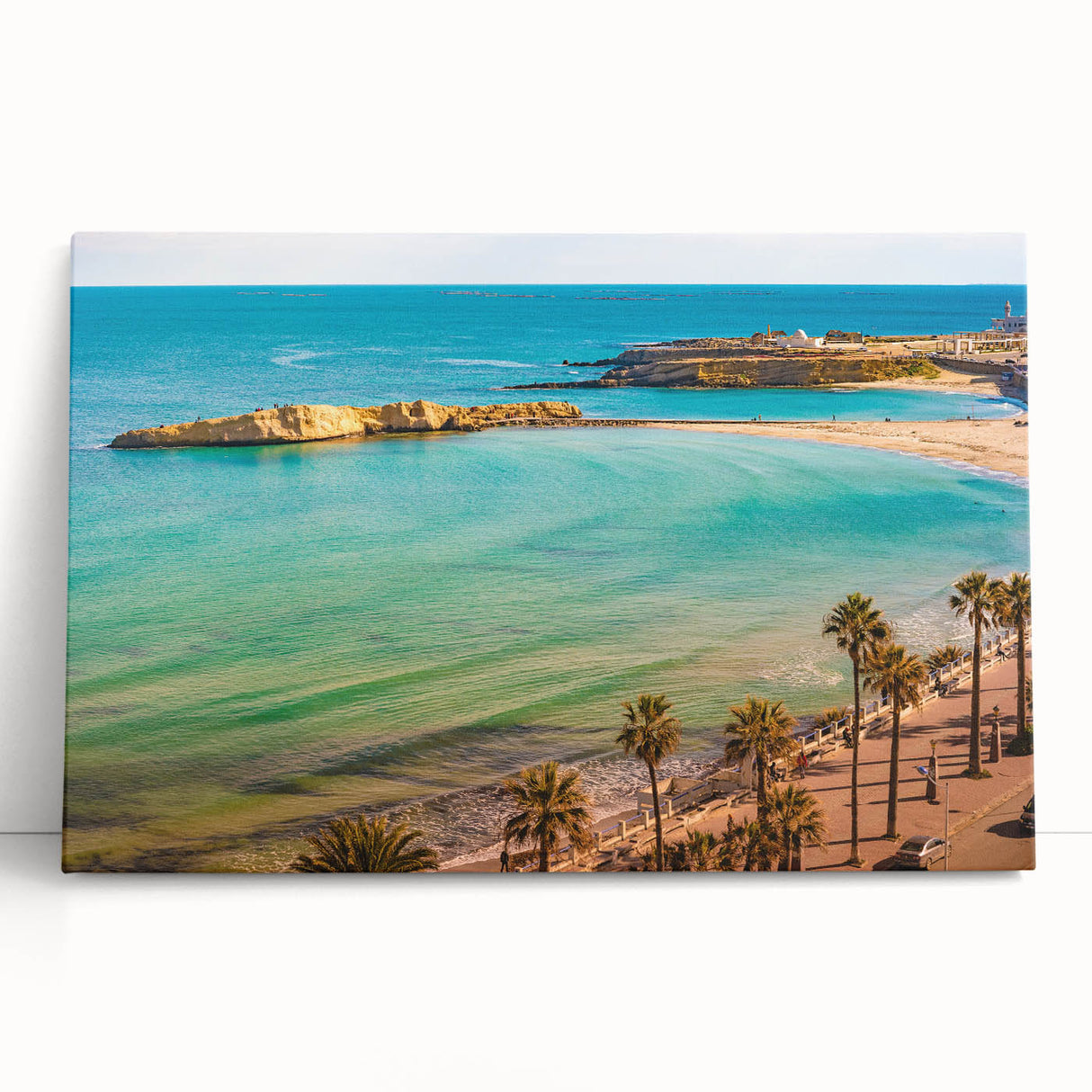Black and white stretched canvas featuring a Tunisian landscape, ideal for kitchen wall art or bedroom decor.
