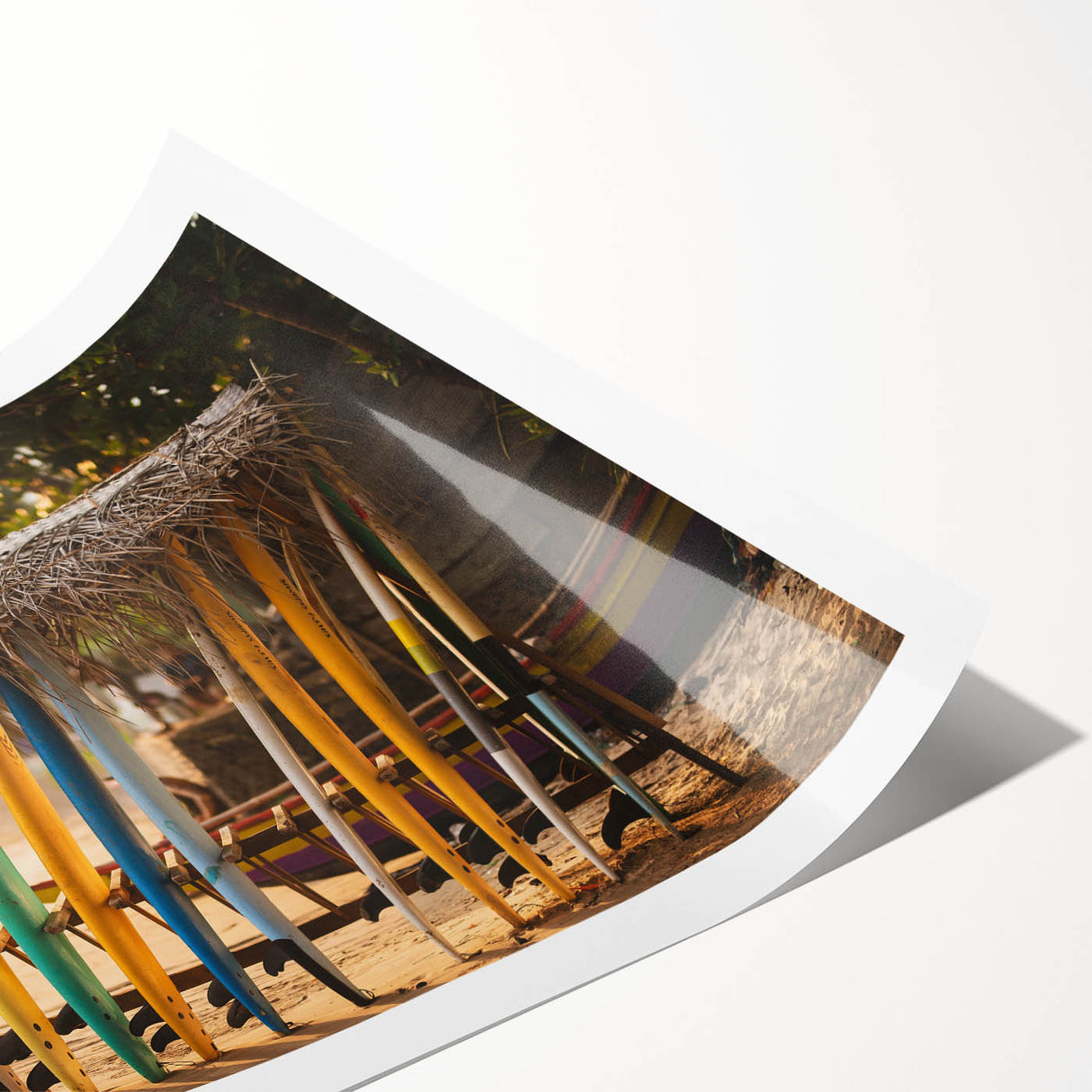 Extra large wall art featuring line art flowers in black on white, rolled print, ideal for large living room wall decor.