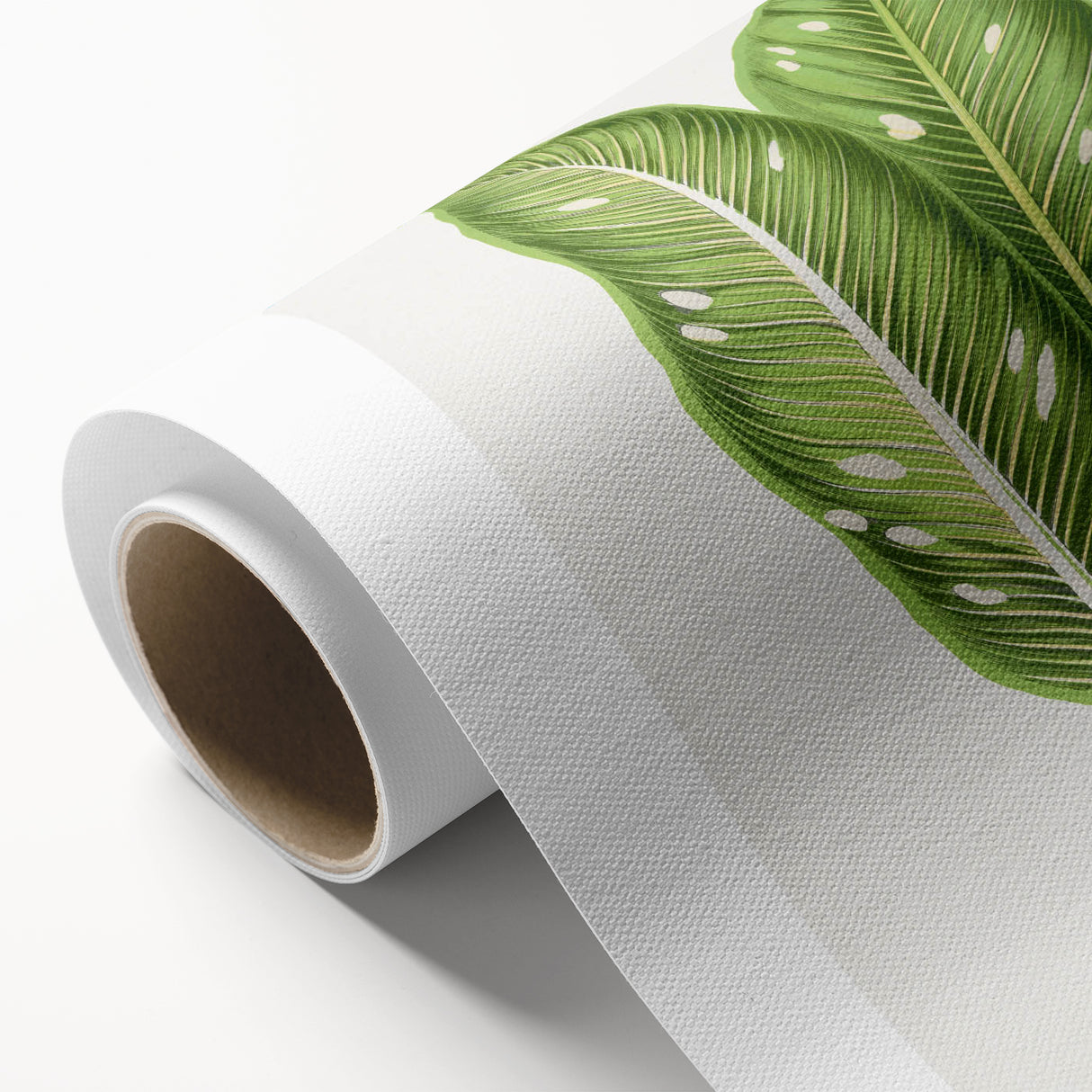 Classic Romantic Art: Green Dieffenbachia Leaf Illustration Print