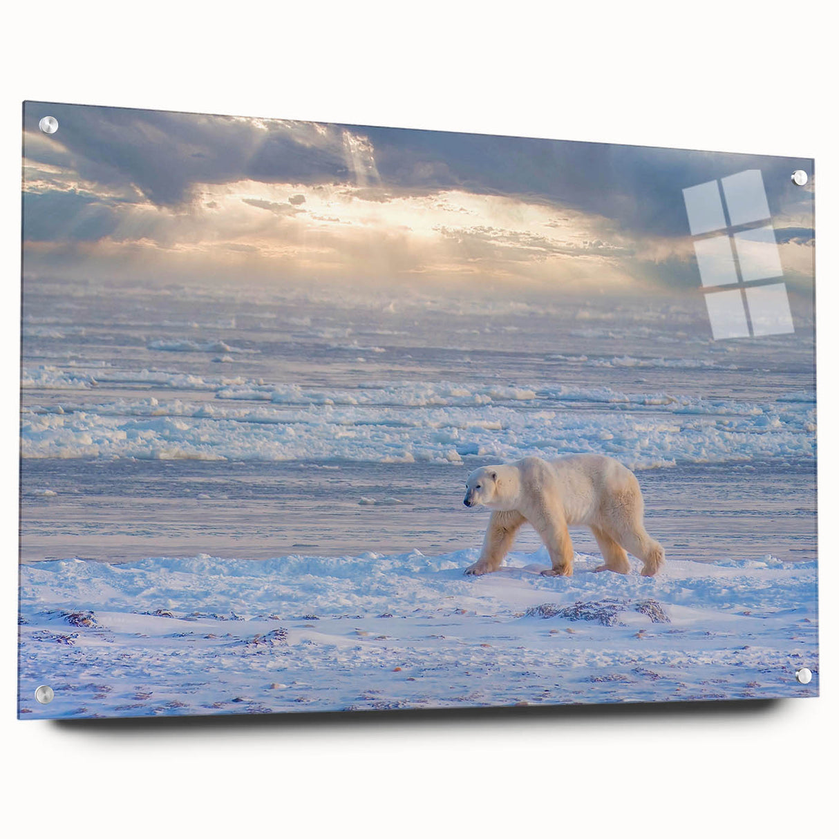 Large abstract wall art featuring Manitoba scenery in muted earth tones on acrylic glass.