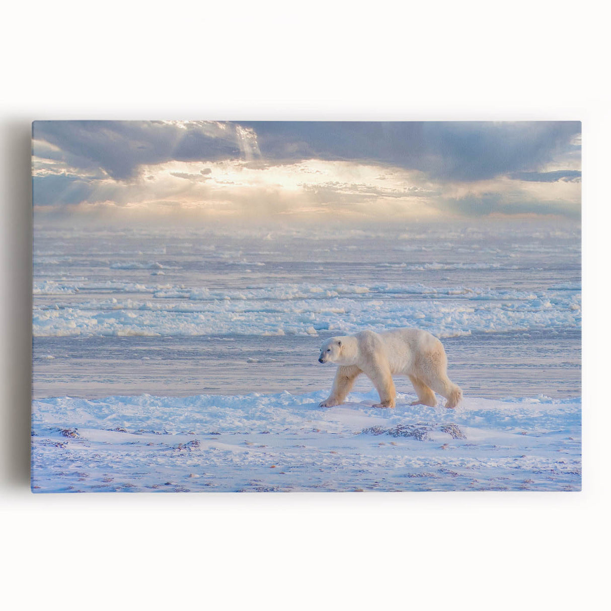 Black and white photo of Manitoba scenery on stretched canvas, ideal for kitchen wall art.