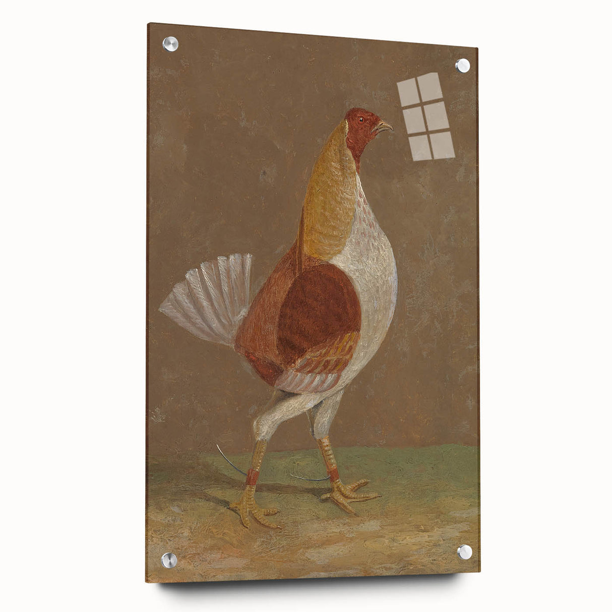 Romantic Era Art: "Pale-Breasted Fighting Cock" by John F. Herring