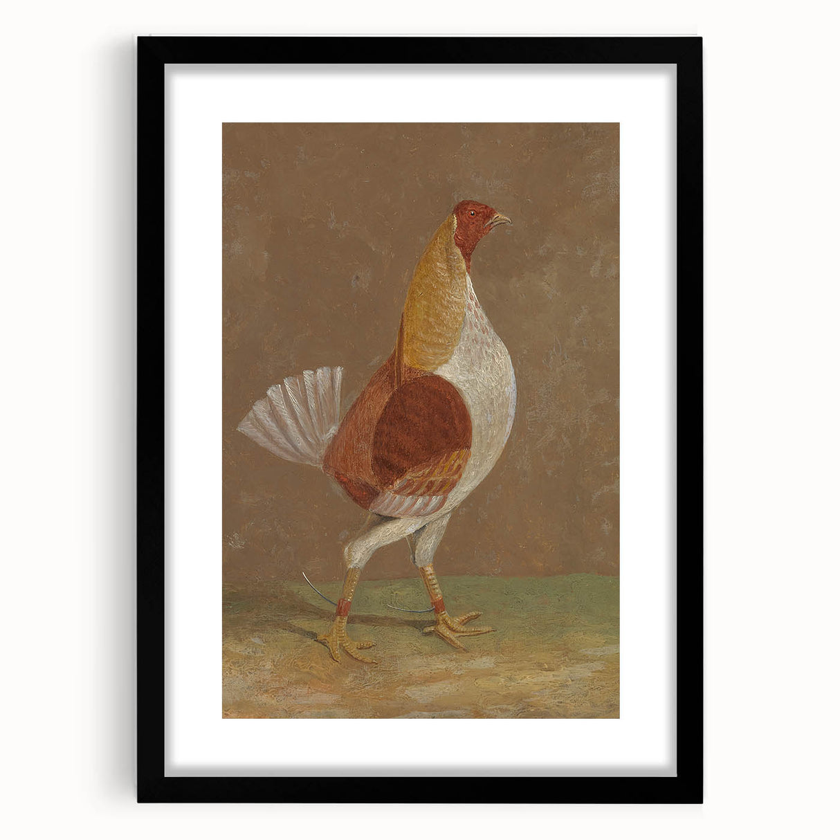 Romantic Era Art: "Pale-Breasted Fighting Cock" by John F. Herring