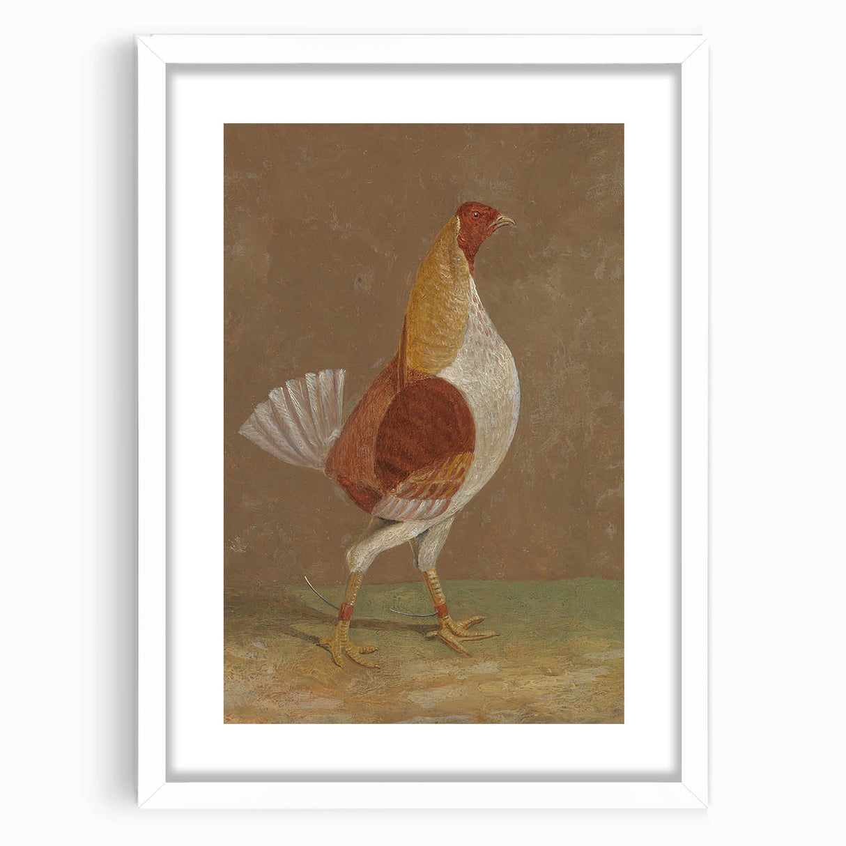 Romantic Era Art: "Pale-Breasted Fighting Cock" by John F. Herring