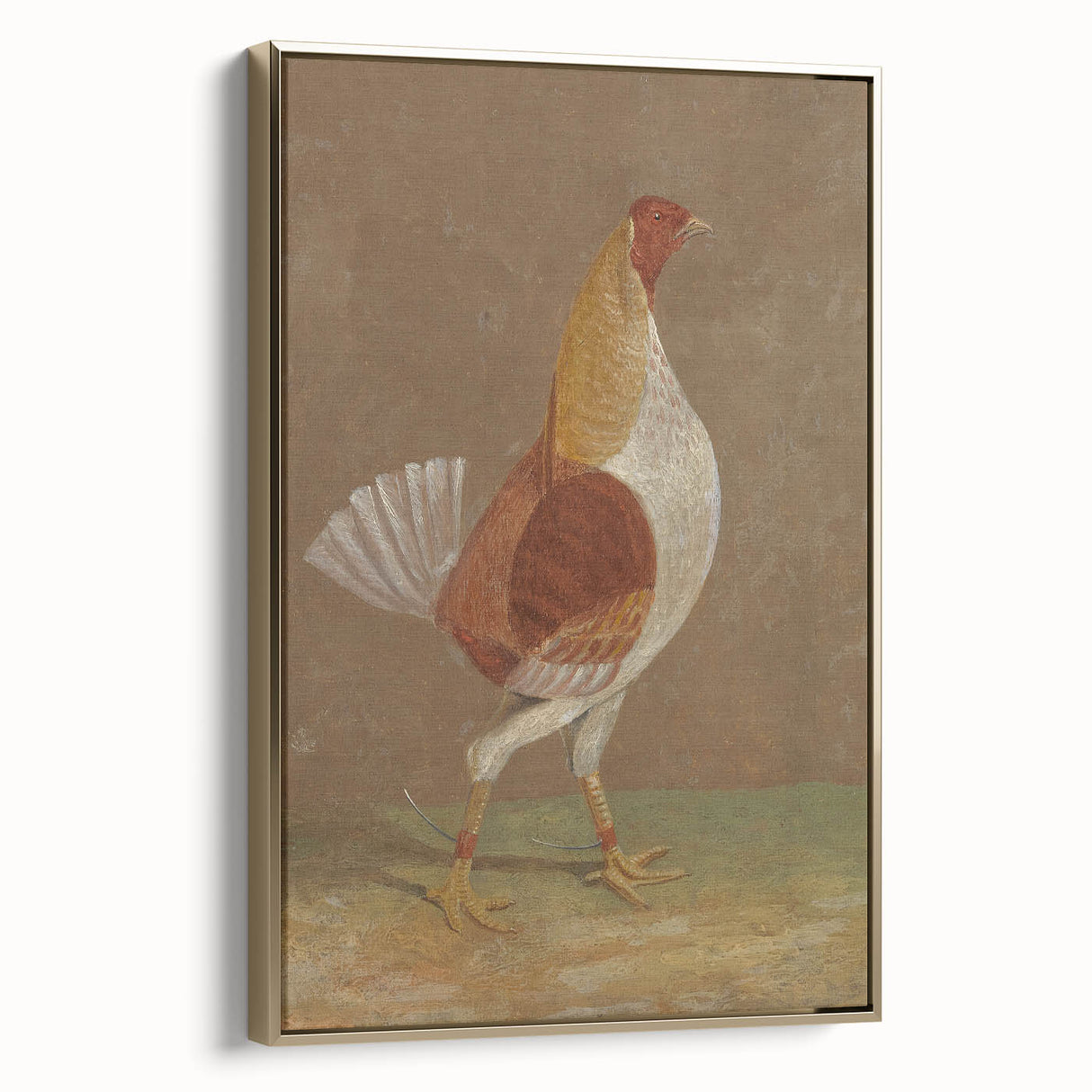 Romantic Era Art: "Pale-Breasted Fighting Cock" by John F. Herring
