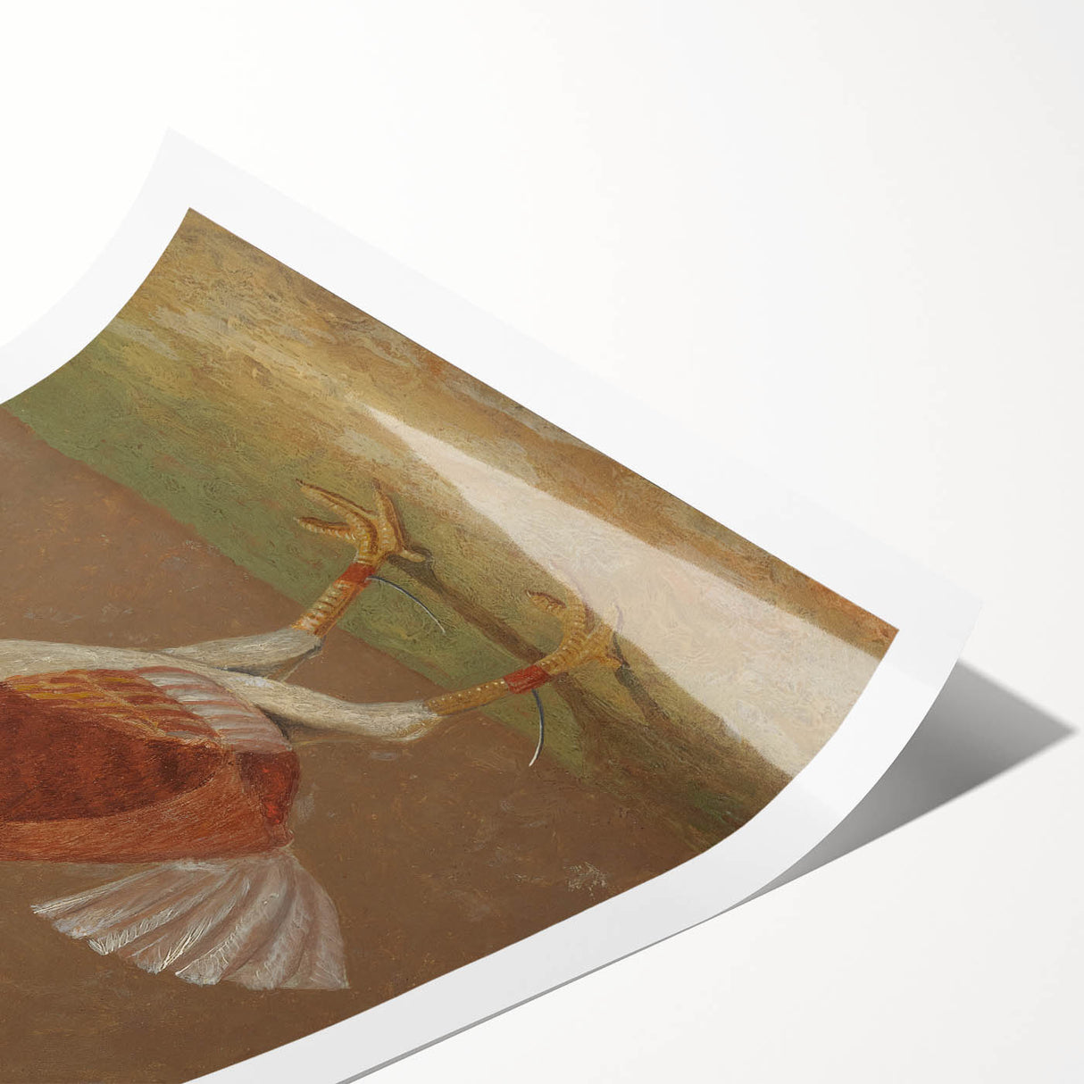 Romantic Era Art: "Pale-Breasted Fighting Cock" by John F. Herring