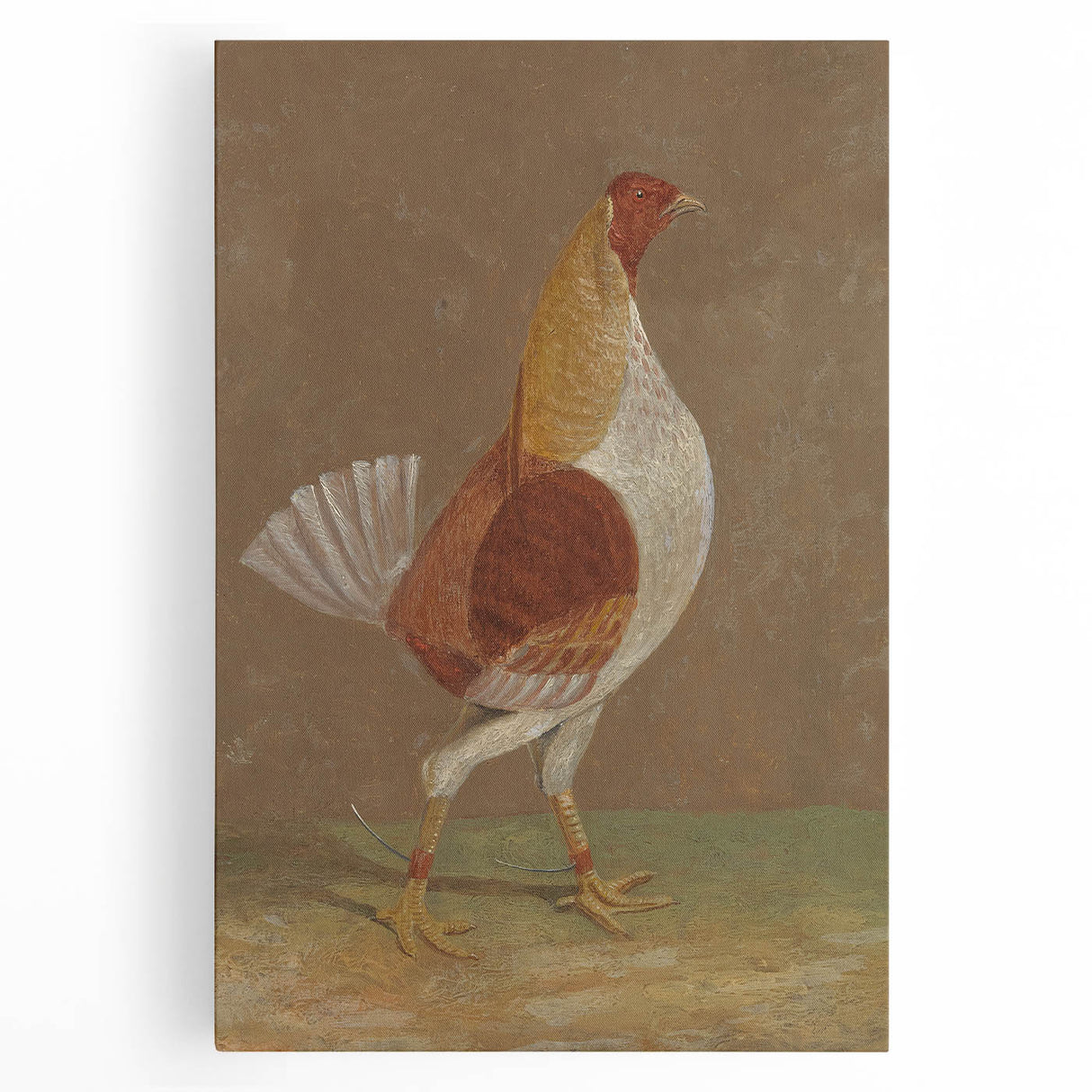 Romantic Era Art: "Pale-Breasted Fighting Cock" by John F. Herring