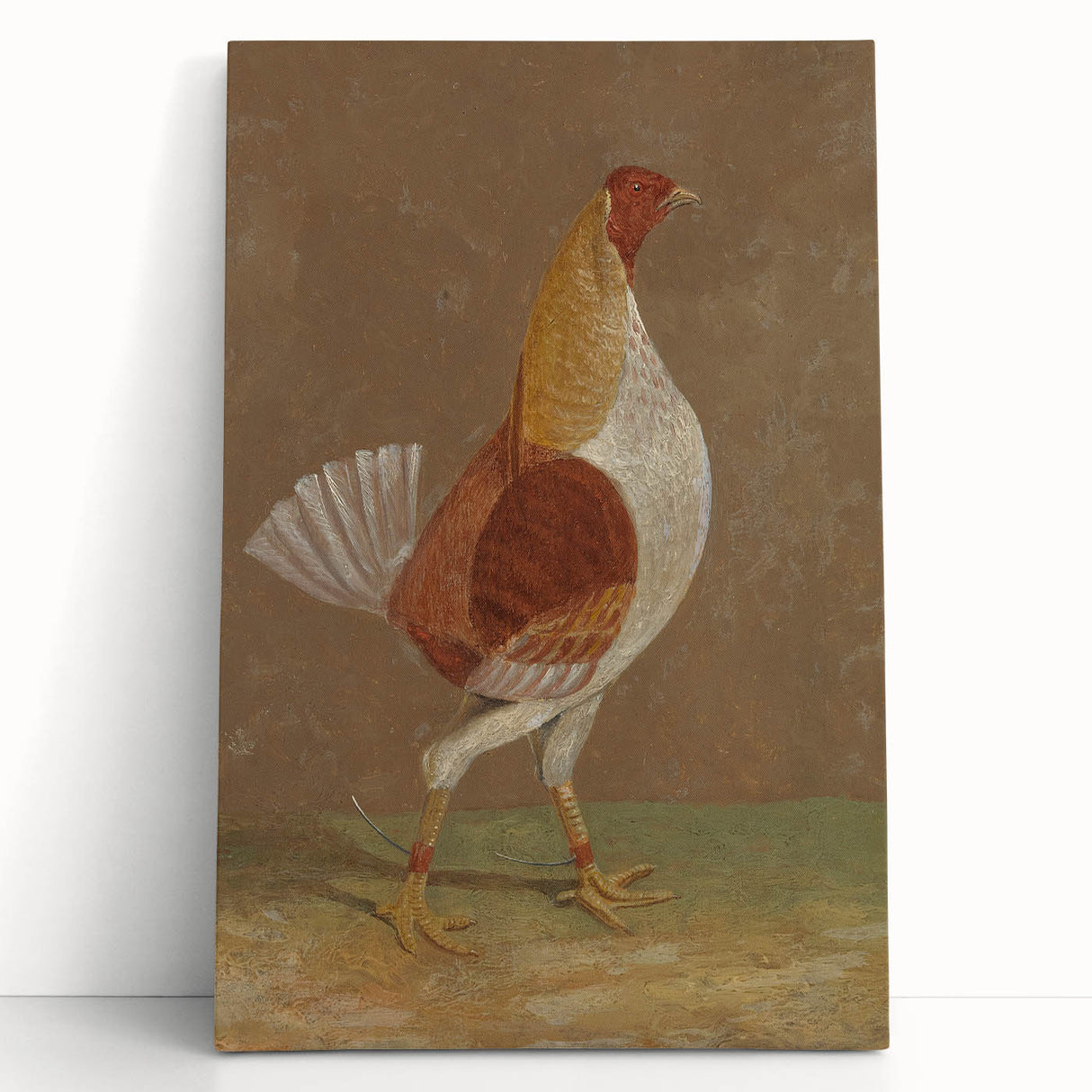 Romantic Era Art: "Pale-Breasted Fighting Cock" by John F. Herring