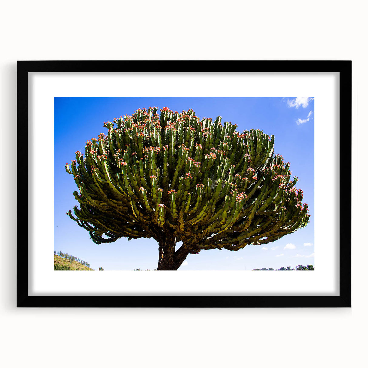 Abstract art print depicting a colorful, textured Ethiopian landscape on extra large canvas, ideal for living room decor.