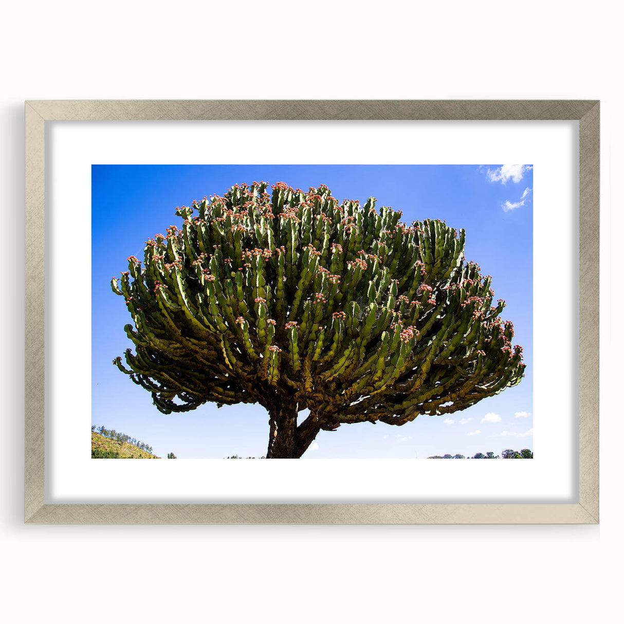 Abstract art print depicting an Ethiopian landscape in muted earth tones, framed in silver, ideal for dining room decor.