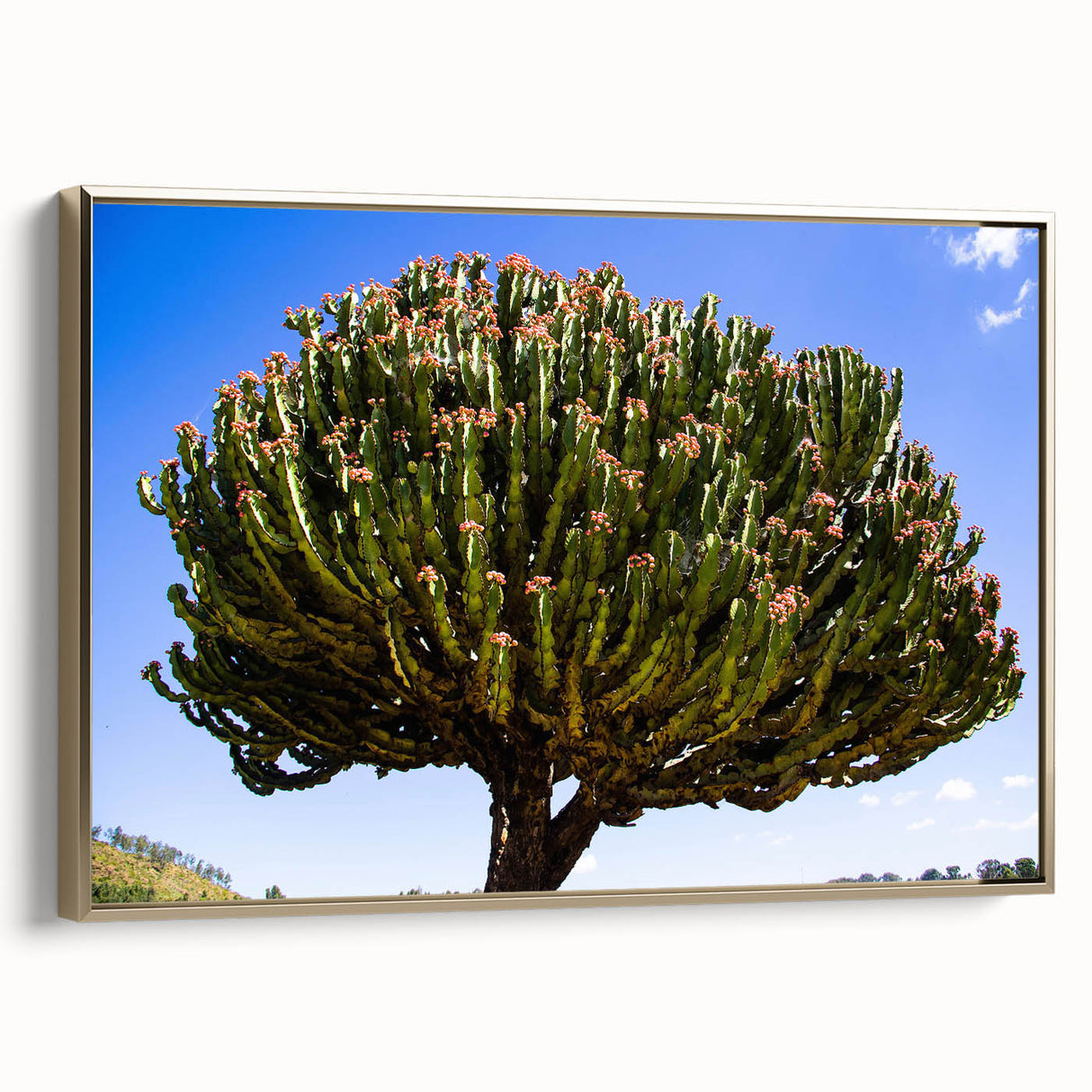 Framed canvas featuring a vintage-style Ethiopian landscape with vibrant colors on a black background.