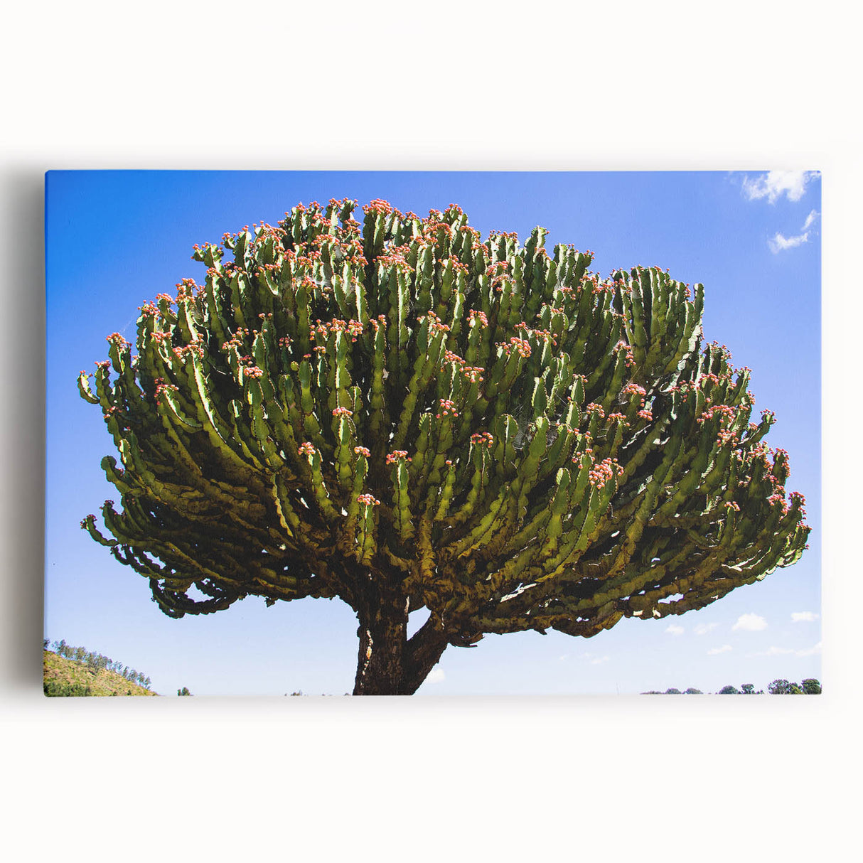 Large black and white acrylic print of an Ethiopian landscape, ideal for kitchen wall art.