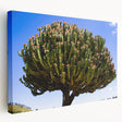 Large art depicting the Ethiopian scenery on stretched canvas, featuring earthy tones, ideal for kitchen wall art.