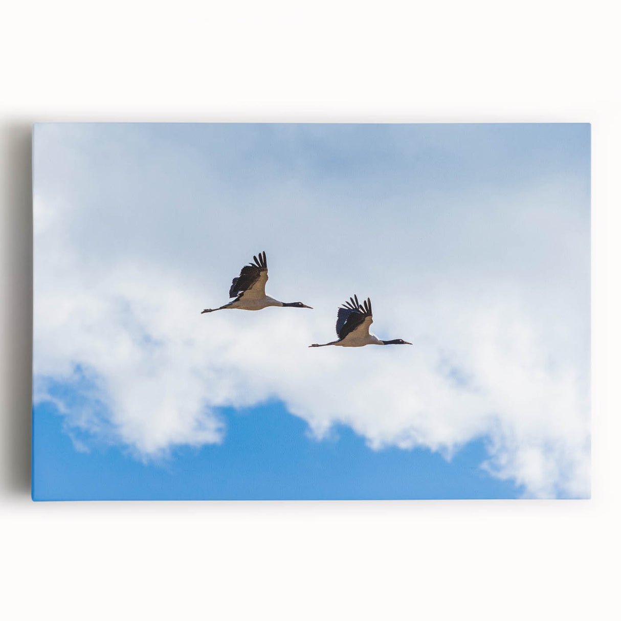 Black and white large art print of Bhutan scenery on stretched canvas, suitable for kitchen wall art.