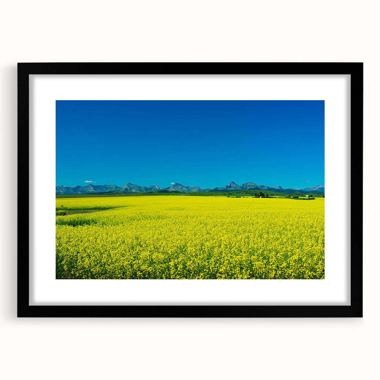 Extra large abstract art print depicting a textured, colorful scene of Alberta, Canada, in a black frame.