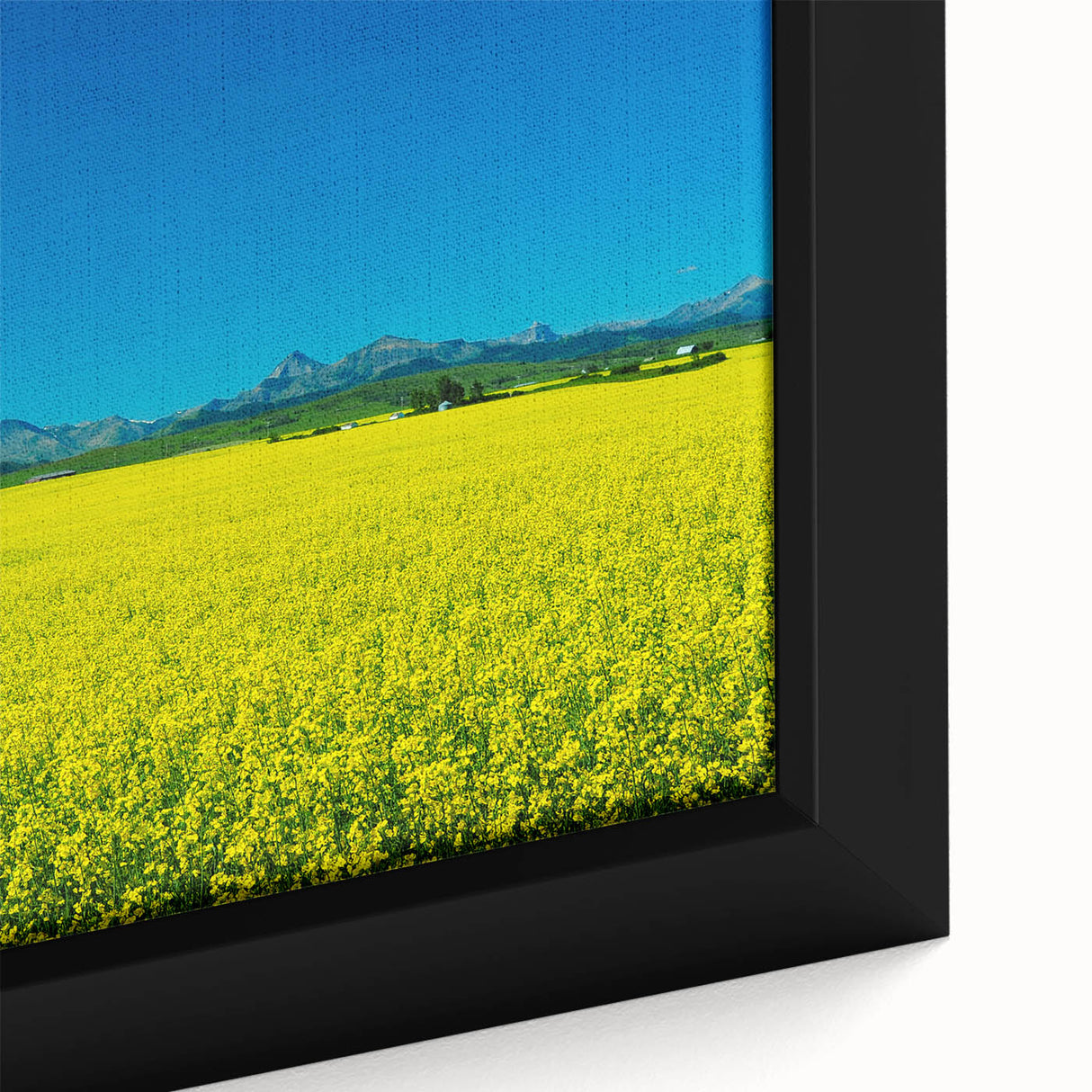 Extra large framed canvas featuring a textured depiction of Alberta, Canada scenery in black with colorful accents.