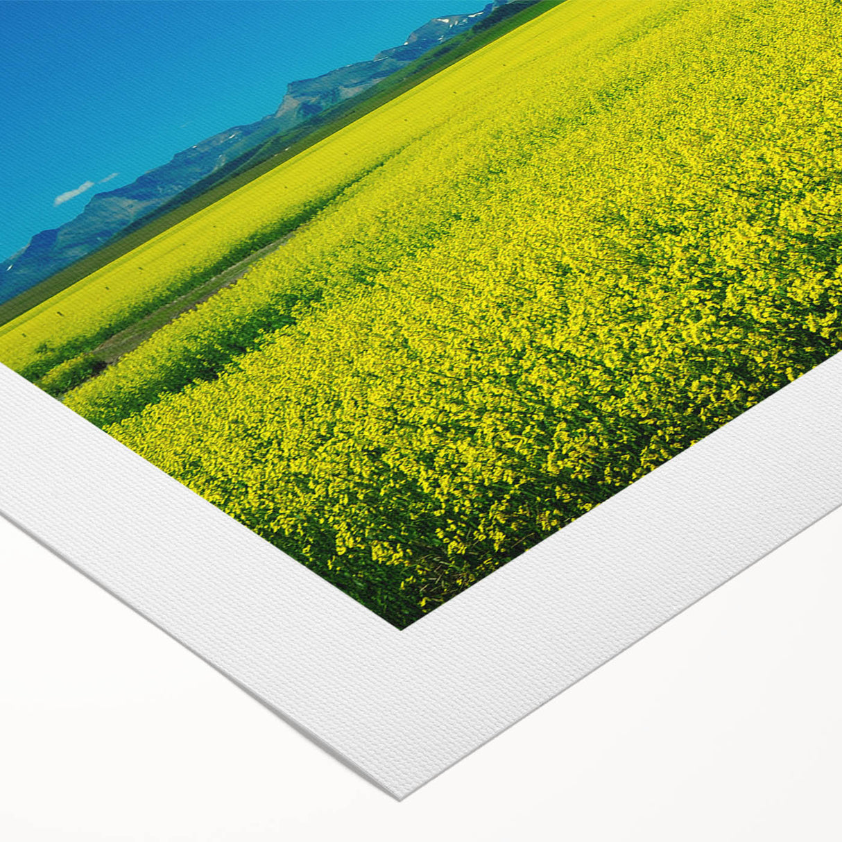 Art deco poster of Alberta, Canada scenery in muted earth tones on rolled canvas, suitable for dining room wall art.