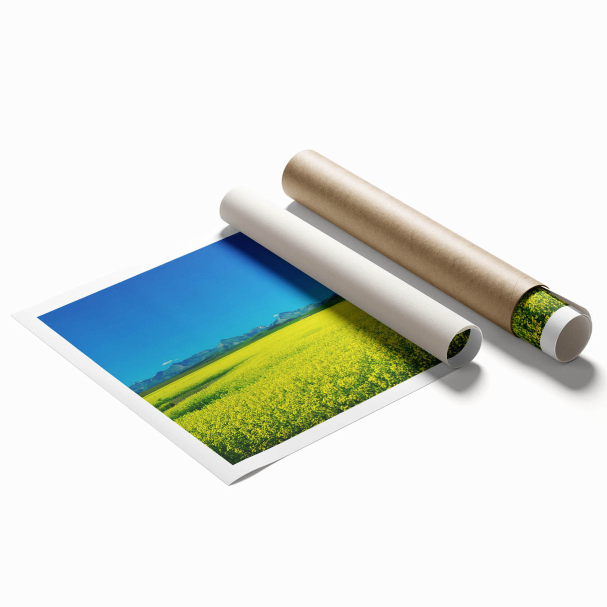 Scenic Alberta landscape on rolled print, featuring muted earth tones, ideal for classy bathroom wall art.