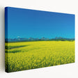 Panoramic view of Alberta, Canada on a stretched canvas, showcasing the natural landscape in earthy tones.