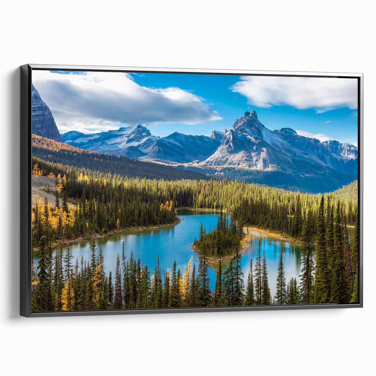 Black and white framed canvas of British Columbia landscape, ideal for bedroom wall art.