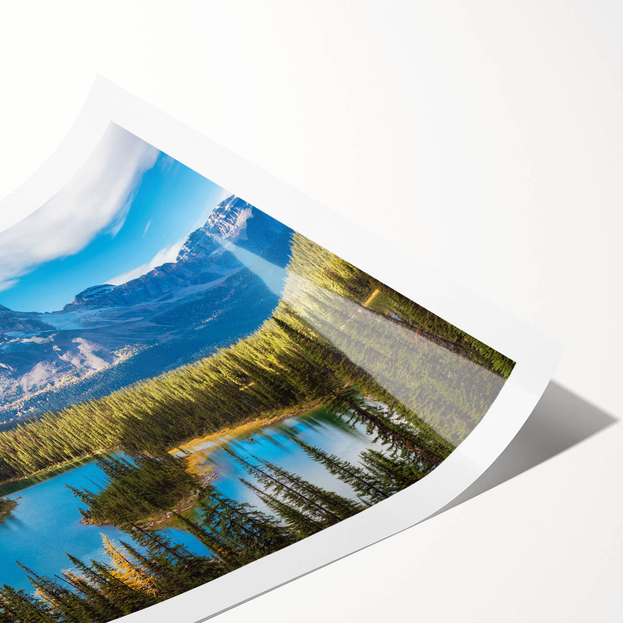 Extra large wall art featuring line art flowers in muted earth tones on a rolled print, suitable for large living room decor.