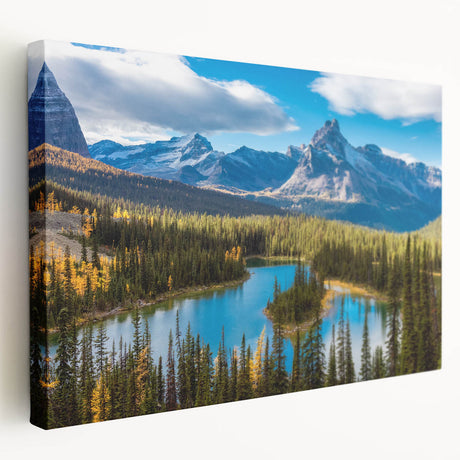 Large stretched canvas depicting the scenic British Columbia landscape with lush greenery and mountain backdrop.