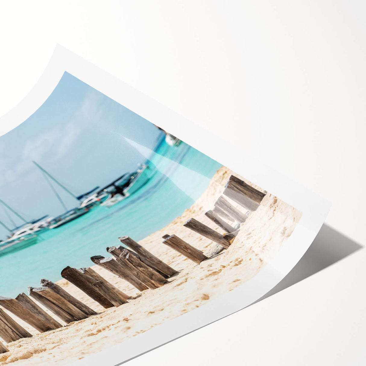 Extra large wall art featuring line art flowers in soft pastel shades on a rolled print.