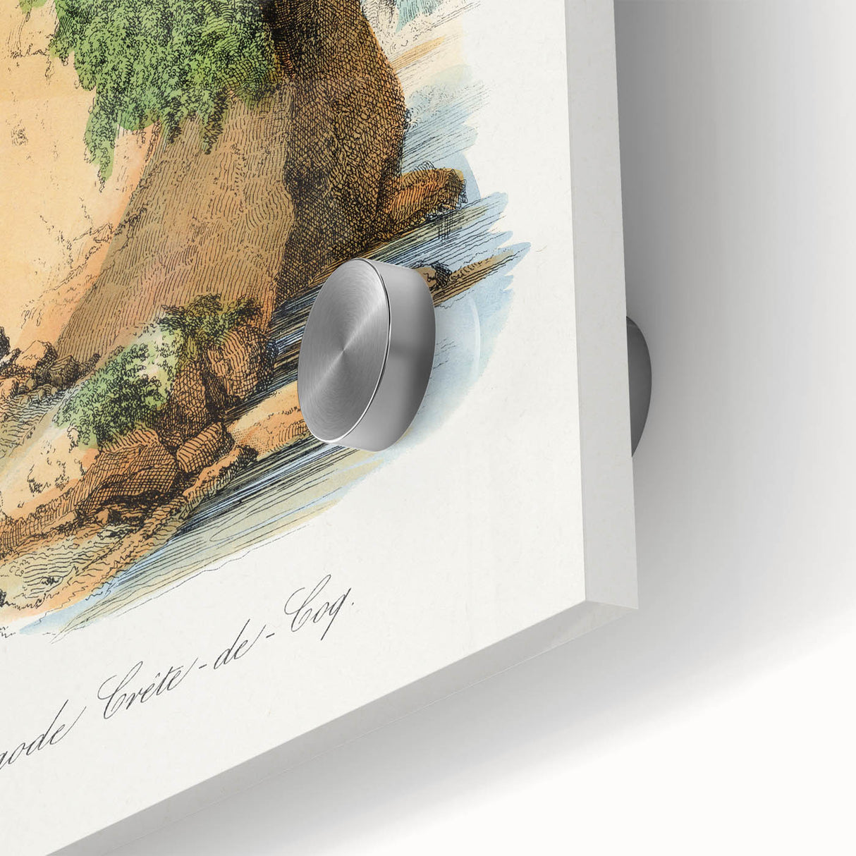 Romanticism Art - Spongode Coral Study - Classic Romantic Print