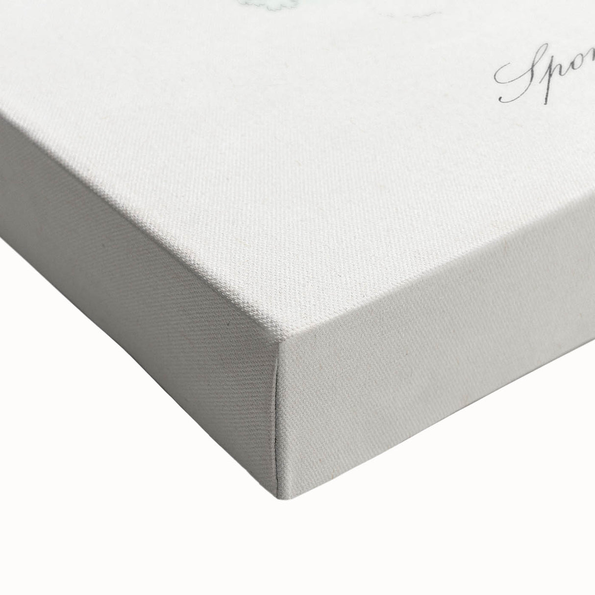 Romanticism Art - Spongode Coral Study - Classic Romantic Print