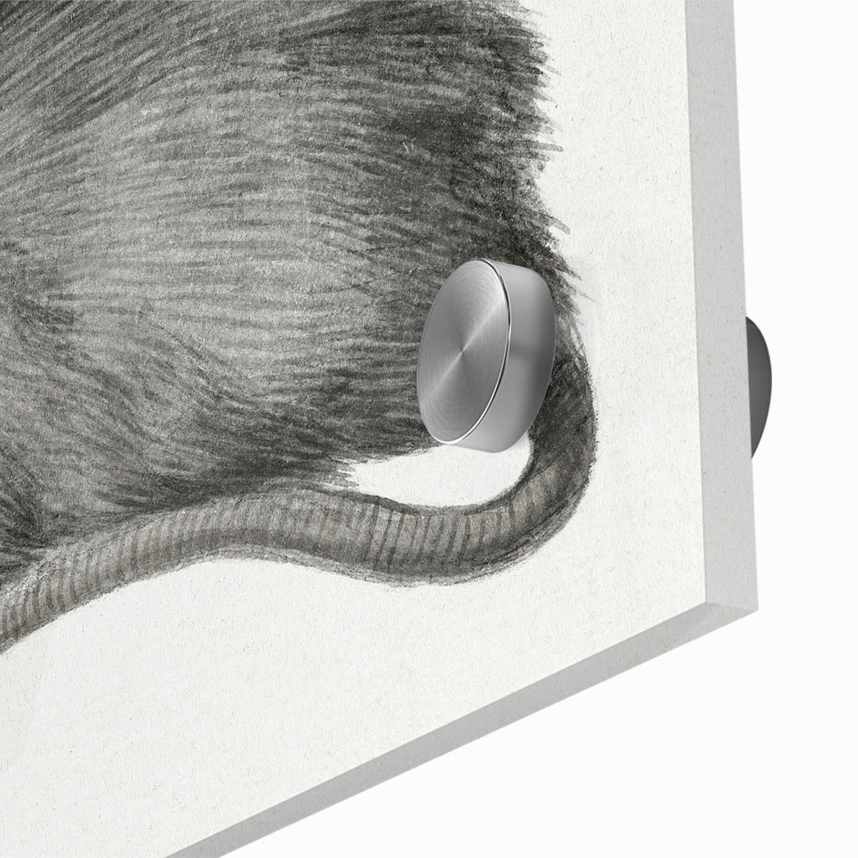 Romanticism Art - Study of a Mouse - Classic Romantic Animal Print