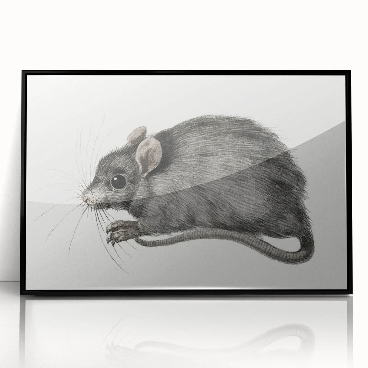 Romanticism Art - Study of a Mouse - Classic Romantic Animal Print