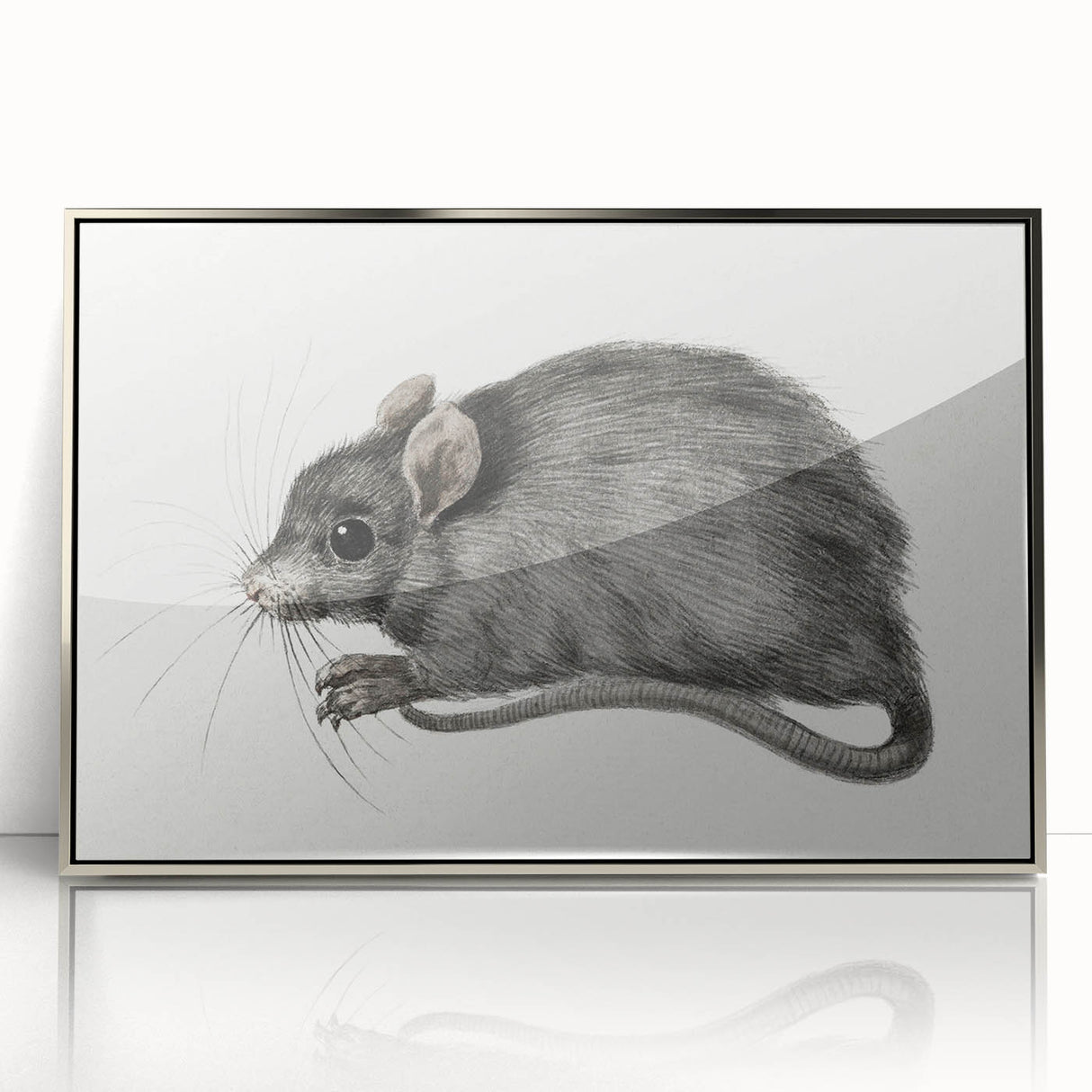 Romanticism Art - Study of a Mouse - Classic Romantic Animal Print