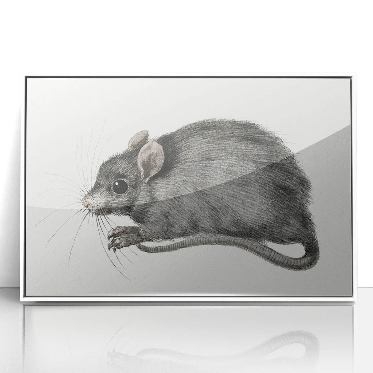 Romanticism Art - Study of a Mouse - Classic Romantic Animal Print
