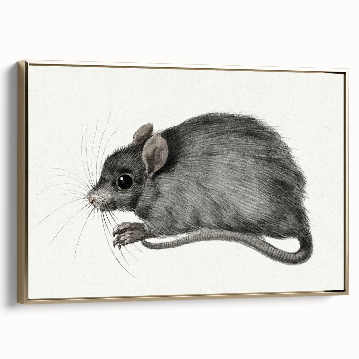 Romanticism Art - Study of a Mouse - Classic Romantic Animal Print