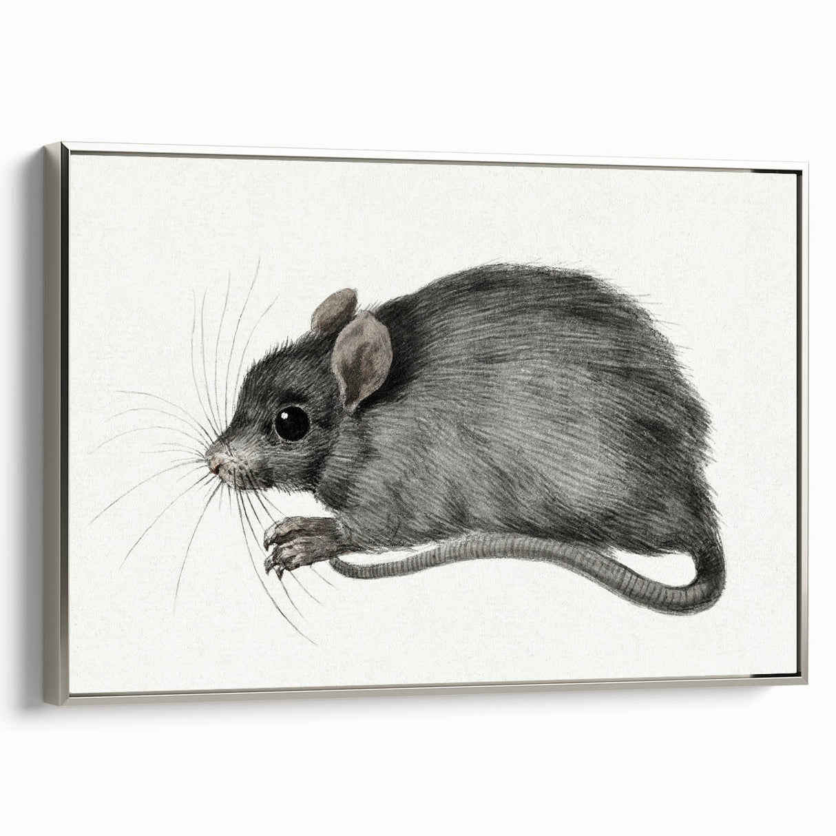 Romanticism Art - Study of a Mouse - Classic Romantic Animal Print