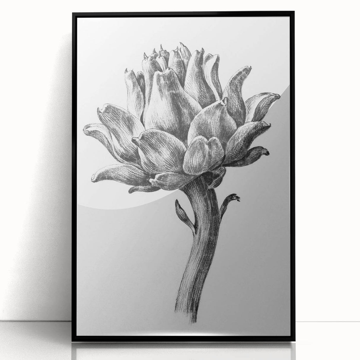 Romanticism Art - Artichoke Study - Classic Botanical Romantic Print