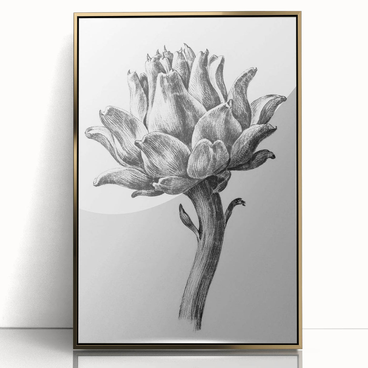 Romanticism Art - Artichoke Study - Classic Botanical Romantic Print