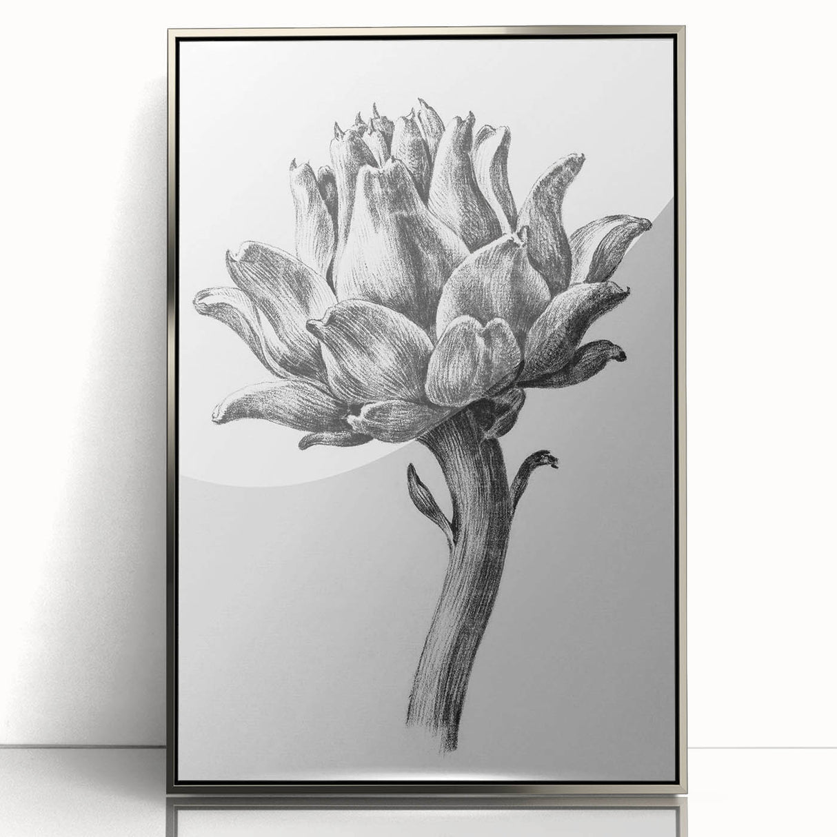 Romanticism Art - Artichoke Study - Classic Botanical Romantic Print